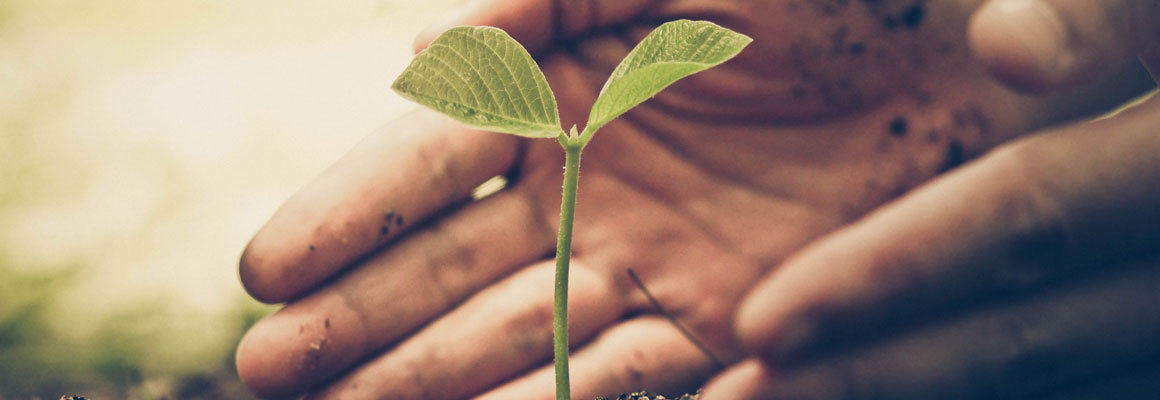 Éthique et responsabilité sociale