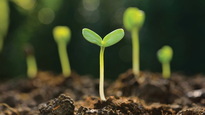 bilancio sostenibilita 2017